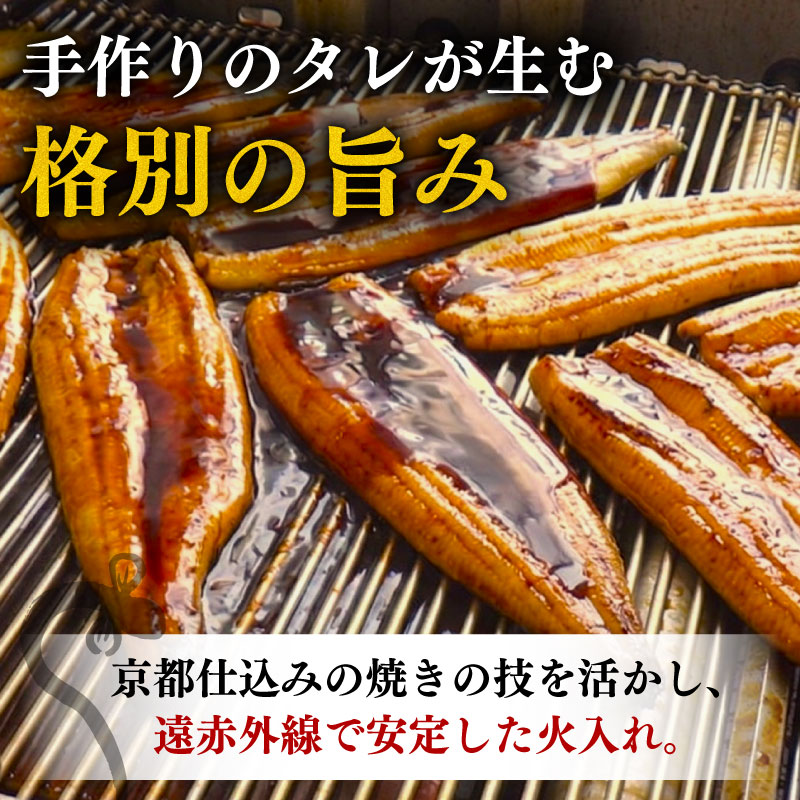 【2回定期便】国産うなぎ 蒲焼 計4尾 (120g×2尾×2回)  高知県産  自家製タレ ・山椒つき